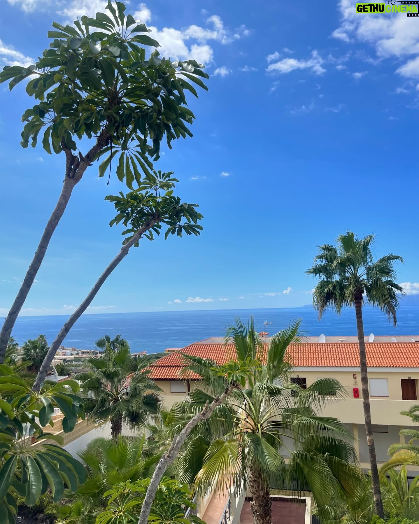Alice Bendová Instagram - 🌴🌴🌴Naši milí hosté, u nás v apartmánech v Los Gigantes na Tenerife zbývá posledních pár volných termínů na jaro a 1 týden o prázdninách, takže pište na : veselaalice@seznam.cz 🌴🌴🌴 Ceny startují na 99€ na noc/apartmán 🐠🐠🐠Těšíme se na Vás🐠🐠🐠 #rent #apartmentforrent #tenerife #travel #holiday #propertiesforrent #instarent #instatravel #instamood #instagram