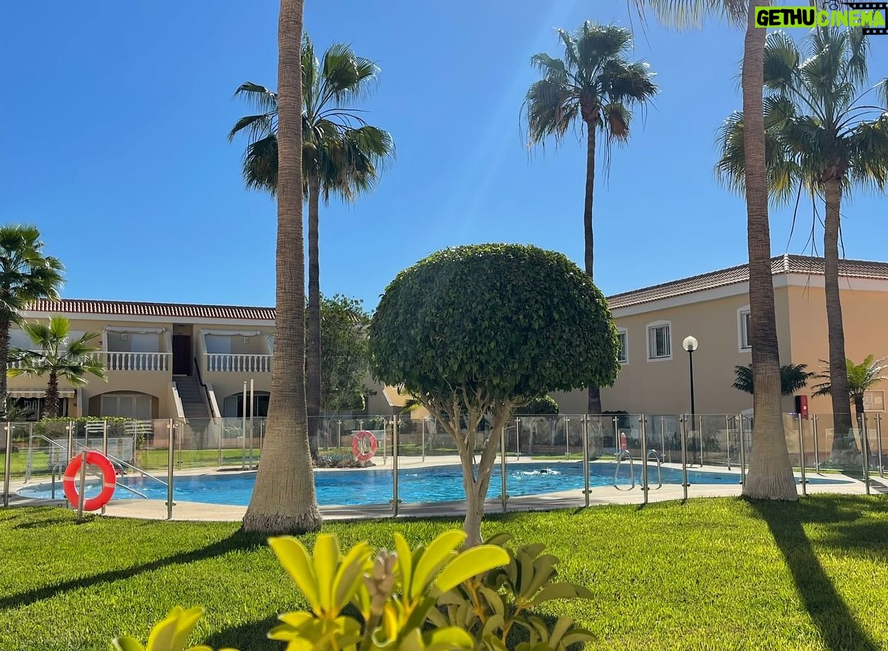 Alice Bendová Instagram - 🐠🐠🐠POSLEDNÍ VOLNÉ TERMÍNY V NAŠICH APARTMÁNECH NA TENERIFE V LOS GIGANTES DO ZÁŘÍ 🐠🐠🐠 Naše apartmány 2 kk a 3 kk mají velké terasy, výhled na oceán, bazén, zahradu, garáž a vše v dostupné vzdálenosti🌴 🐠🐠🐠VOLNÉ TERMÍNY : 19.3.-27.3., 20.3.-19.4., 8.4.-14.4., 27.5.-4.9., 23.7.-1.8. A pak od 3.9. 🐠🐠🐠 Data pobytu si můžete přizpůsobit Vašim potřebám❤️ Cena od 99€ za celý apartmán/noc REZERVACE a INFO pište na : veselaalice@seznam.cz #rent #apartmentforrent #tenerife #renttenerife @real.estatevideography.cz