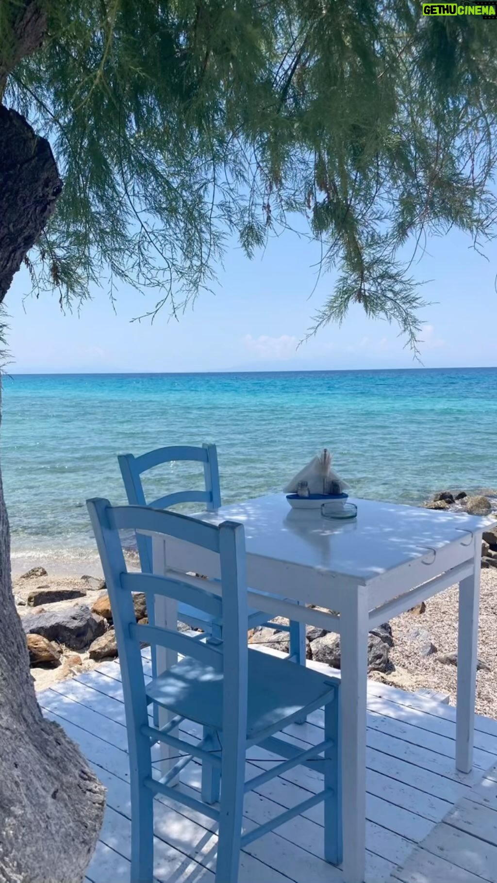 Alice Bendová Instagram - A tohle mě baví. Řecko milujeme a pro letošní dovolenou jsme si vybrali tuhle nádhernou vilu na Chalkidiki ( taky musíme jinam, než na Tenerife 😅). Mimochodem @pohodavillas tam mají těch vil celkem osm, takže můžete vyrazit také. Letecky jste tam za chvilku🙏. Dlouhé písečné pláže a zálivy mezi čirým mořem a jehličnany porostlými kopci jsou hlavní atrakcí krásného poloostrova Chalkidiki. Každá vila o velikosti 145 m² disponuje 3 ložnicemi, obývacím pokojem a kuchyní, 2 koupelnami a příslušenstvím, balkónem a venkovní terasou, která navazuje přímo do zahrady o rozloze 1000 m² a je jen 350 metrů od pláže 🐠🐠🐠. Cena za celou vilu pro až 8 osob ( včetně 2 dětí do 5ti let věku ) začíná na 34.000 kč za 7 nocí. A když tak počítám je to 607 kč na hlavu na noc, to si myslím, je vážně skvělé. Takže, SEE YOU HERE 🌴🌴🌴🐠 VOLEJTE na: 420 602 228 310, 420 603 706 178 #greece🇬🇷 #greek #chalkidiki #travel #family #holiday #trip #beach #sea