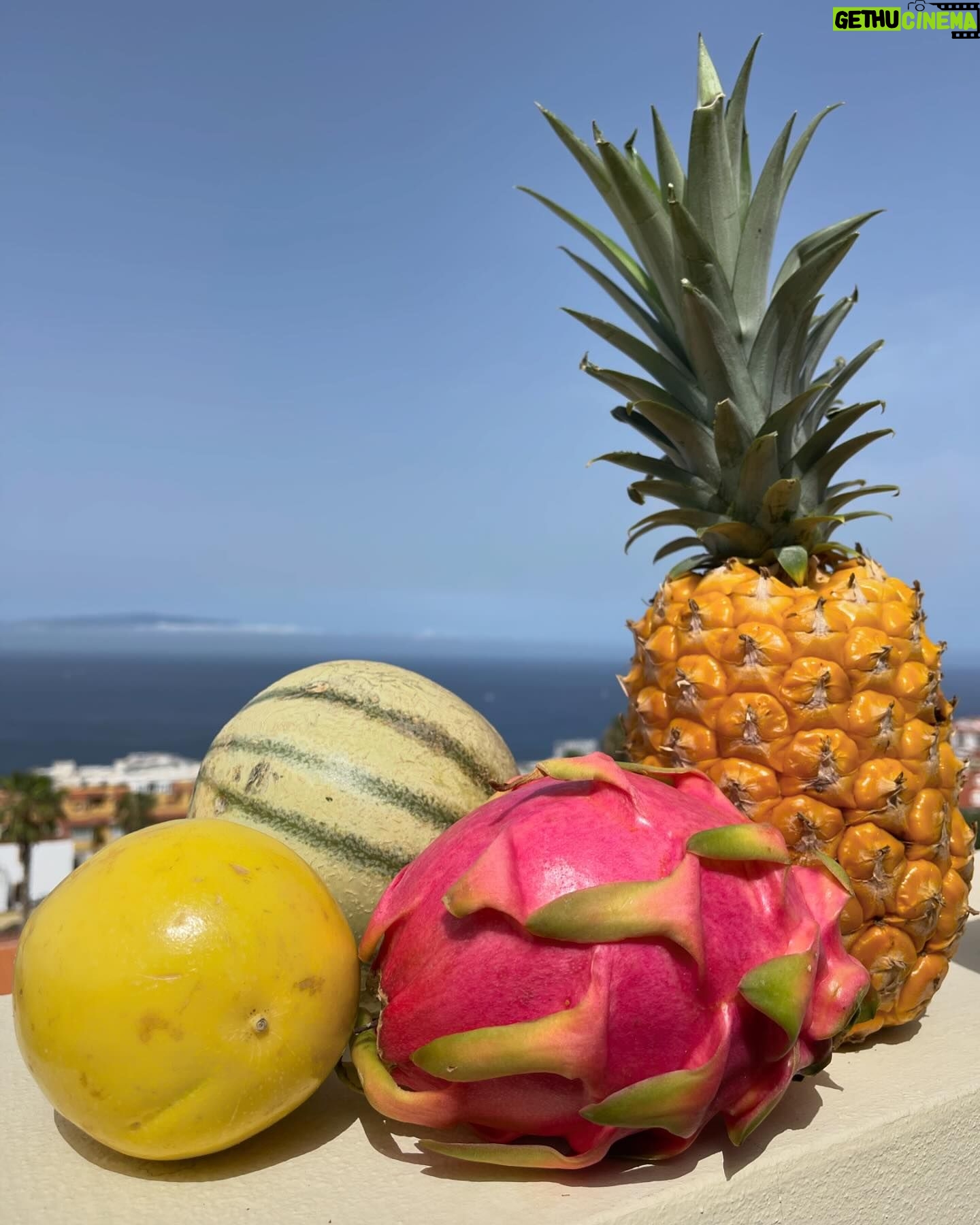 Alice Bendová Instagram - 🌴🌴🌴Naši milí hosté, u nás v apartmánech v Los Gigantes na Tenerife zbývá posledních pár volných termínů na jaro a 1 týden o prázdninách, takže pište na : veselaalice@seznam.cz 🌴🌴🌴 Ceny startují na 99€ na noc/apartmán 🐠🐠🐠Těšíme se na Vás🐠🐠🐠 #rent #apartmentforrent #tenerife #travel #holiday #propertiesforrent #instarent #instatravel #instamood #instagram
