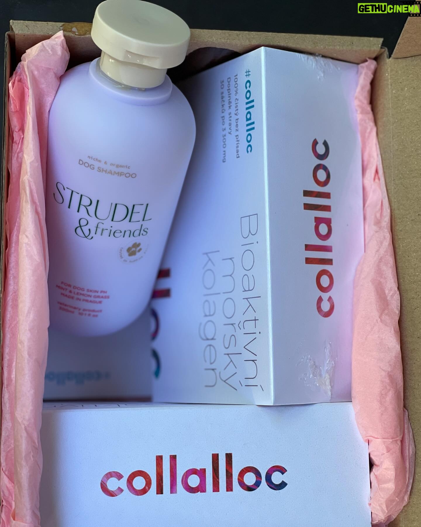 Alice Bendová Instagram - Proč už tak dlouho užívám mořský kolagen od @collalloc? Protože zlepšuje pokožku, zpomaluje proces stárnutí, potlačuje vrásky, strie a celulitidu. Posiluje vlasy, podporuje jejich růst, objem, pružnost a pevnost. Zpevňuje nehty, přestanou se třepit a lámat. Chrupavka, vazy a šlachy dostávají tu správnou výživu. Po zátěži rychleji regenerujete a tvoříte svalovou hmotu. Tak proto ❤️ 🩷🛍️🛍️🛍️A nezapomeňte na jejich dárkové balení 2x collalloc a 1 šampon pro Vaše domácí mazlíčky. 🛍️🛍️🛍️🩷 ‼️‼️‼️20% SLEVA ode dneška do pátku, kód ALICE20 ‼️‼️‼️ #collalloc #spoluprace #morskykolagen #darkovebaleni