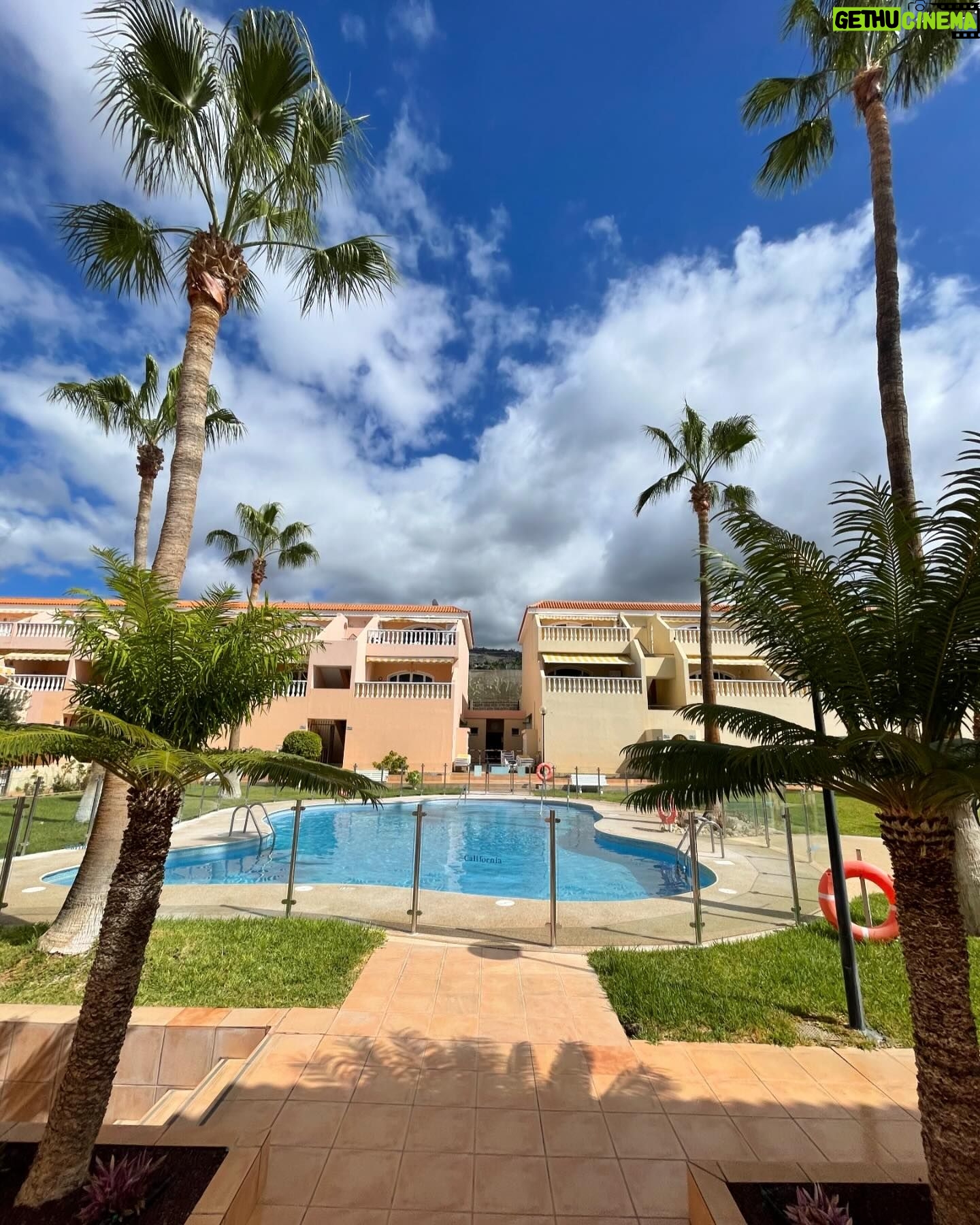 Alice Bendová Instagram - 🌴🌴🌴Naši milí hosté, u nás v apartmánech v Los Gigantes na Tenerife zbývá posledních pár volných termínů na jaro a 1 týden o prázdninách, takže pište na : veselaalice@seznam.cz 🌴🌴🌴 Ceny startují na 99€ na noc/apartmán 🐠🐠🐠Těšíme se na Vás🐠🐠🐠 #rent #apartmentforrent #tenerife #travel #holiday #propertiesforrent #instarent #instatravel #instamood #instagram