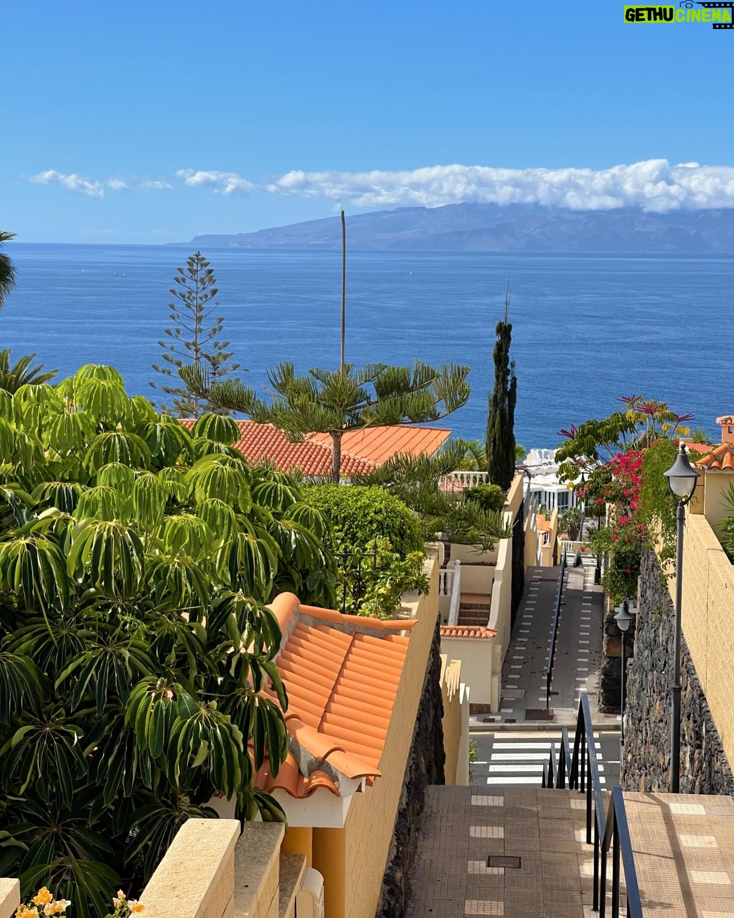 Alice Bendová Instagram - 🌴🌴🌴Naši milí hosté, u nás v apartmánech v Los Gigantes na Tenerife zbývá posledních pár volných termínů na jaro a 1 týden o prázdninách, takže pište na : veselaalice@seznam.cz 🌴🌴🌴 Ceny startují na 99€ na noc/apartmán 🐠🐠🐠Těšíme se na Vás🐠🐠🐠 #rent #apartmentforrent #tenerife #travel #holiday #propertiesforrent #instarent #instatravel #instamood #instagram