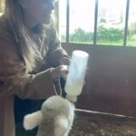 Alice Eve Instagram - Best Easter Ever 🐑