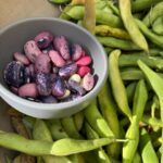 Alice Waters Instagram – TOMORROW: Please join us at LULU for a magical evening with chef/artists Gerardo Gonzalez (@personal_pan_pizza_ ) and Maricela Vega (@chico_querico)
 
Their work explores the delicious possibilities found in clay and corn masa, boundary-pushing Latin flavors and wild local herbs.
 
 
 
Tuesday November, 14, 2023
 
Menu
 
Mexican appetizers and a sip of pechuga mezcal
 
Chayote squash salad with jicama and pomegranate
 
Line caught dayboat rockfish baked in a clay parcel
 
Spicy persimmon -pistachio pipian
 
Scarlet runner beans ranchero-style
 
Hand-made tortillas
 
Tangerine sponge cake with marigold
 
Gerardo’s wild herb amaro
 
 
….And a  live musical surprise!
 
 
Prix fixe 85.
One night only!