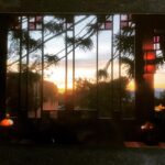 Alice Waters Instagram – Really missing Panisse today remembering the autumn light coming into the dining room. Had a delicious dinner “to go” last night  from Chez and it felt like I was sitting at the kitchen table eating a crab cake with lemon mayonnaise ! Thank you to all the chefs who are working so hard.