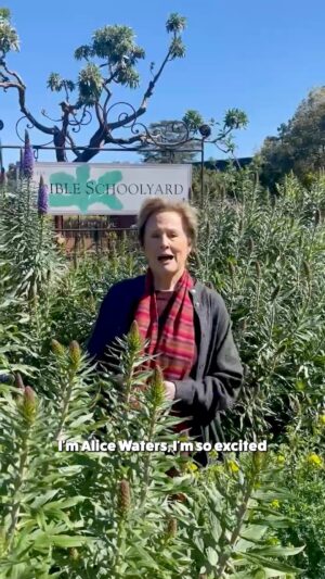 Alice Waters Instagram - I’ve teamed up with Food, Inc. 2 and Food Fight USA to fly out one lucky winner and their friend to Los Angeles to meet me for dinner at my fabulous restaurant inside the Hammer Museum, LULU. Enter to win at FightForGoodFood.com (link in bio) and don't forget to tag who you'd bring along below.

As Food, Inc. 2 illustrates so powerfully, the way we eat matters now more than ever. Your entry will help us raise awareness for the causes most near and dear to my heart: eating locally and seasonally, supporting our regenerative and organic farmers, and expanding access to healthy, nutritious and sustainable food for all Americans. The film will be available everywhere April 12!

Enter to win at FightForGoodFood.com and good luck! #foodinc2