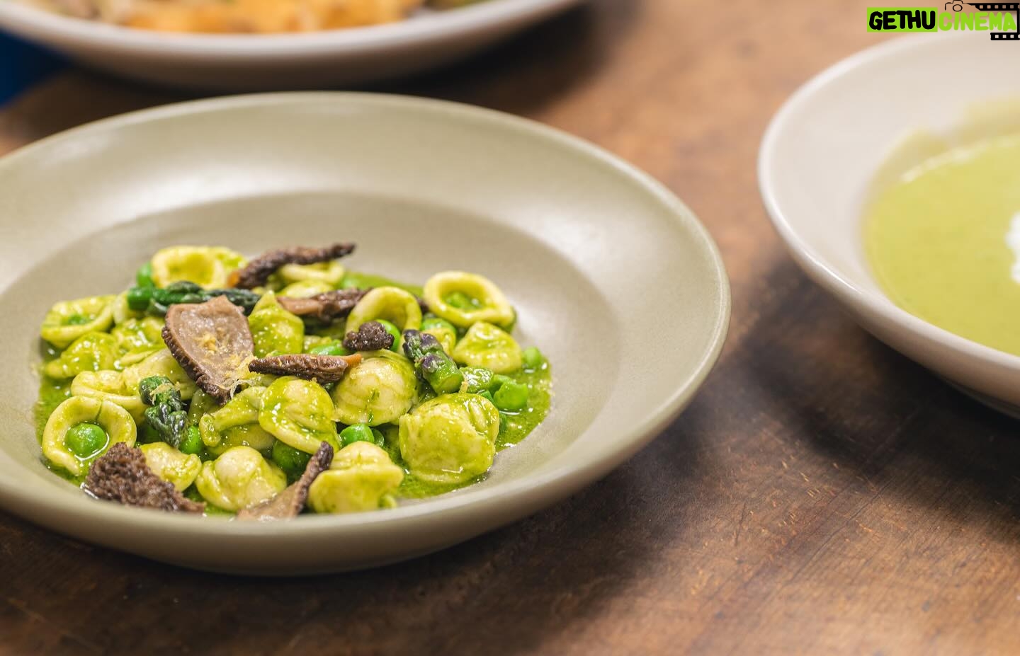 Alice Waters Instagram - Alice is very into spring. She wrote ‘Celebrating Spring’ on our menu because it’s the last moment of peas, favas, morels, asparagus and she wants to express how fleeting and special such things are. Last night, she was thanking our cooks for honoring the season so well and serving our guests delightful, wholesome meals. It’s indeed a special time here at LULU. We look forward to welcoming you in for an evening spring supper and a nourishing meal in our beautiful courtyard. These longer days are a true blessing, as we get to dine together – al fresco under the setting sun. . . . Photos: @jayevan_photography BTS video: @jessemcb1971 #westwoodvillagefarmersmarket #westwoodvillage #laeats #hammermuseum #losangelesfood #alicewaters #ucla #uclaalumni