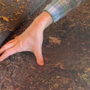 Alice Waters Instagram - Yesterday I visited @apricotlanefarms and had lunch with its owners John & Molly Chester. This is his hand showing us the organic regenerative soil under the citrus trees. A lot of worms means healthy soil= healthy  food! Laurie David made an extraordinary film about this farm, @thebiggestlittlefarm, and now she has a book, #imagineitbook, that celebrates all of the things I believe in. An inspiring book to read this earth month!