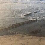 Alice Waters Instagram - I just came out to Bolinas for the weekend and took a walk by the ocean. It felt like all was right with the world ! When you are immersed in the beauty of nature, it just takes you away. Feel so lucky to be able to rest here while we wait for the stimulus package to pass.