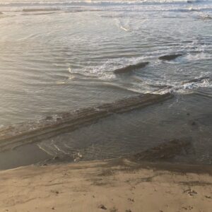 Alice Waters Instagram - I just came out to Bolinas for the weekend and took a walk by the ocean. It felt  like all was right with the world ! When you are immersed in the beauty of nature, it just takes you away. Feel so lucky to be able to rest here while we wait for the stimulus package to pass.