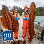 Alice Waters Instagram – So many beautiful things on the Good Food Awards Pop Up Shop (shop.goodfoodfdn.org), including wakame farmed regeneratively in Alaska by these ladies at Daybreak Seaweed Co. #goodfoodawards #daybreakseaweedco