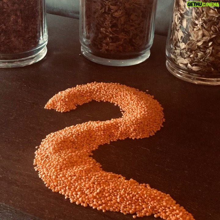 Alice Waters Instagram - Here is another artistic food presentation at Boulette's Larder! Yellow lentils are arranged for the New Year and are eaten for good luck. I plan to cook them with Indian spices a la my good friend Niloufer Ichaporia.