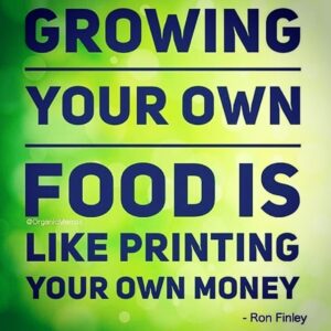 Alice Waters Instagram - I know I keep posting about Ron Finley but he is always telling the truth! Why aren't we talking about  regenerative organic farming as the best way to address climate change? Such a delicious healthful way! And once you fall in love with nature, you change your habits. Solar panels yes but agriculture change is essential. Amen to my Sunday sermon.