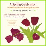 Alice Waters Instagram – I’m thrilled to announce that my friend Jane Fonda has agreed to join me at the Edible Schoolyard Project’s virtual Spring Celebration on Thursday, May 6th! I’m so looking forward to speaking with her about School Supported Agriculture, a most hopeful solution to the climate crisis that has extraordinary potential to support our local regenerative organic farmers and nourish our children all while drawing carbon from the atmosphere into the soil! I hope you’ll join us and other friends. Link in bio to purchase your ticket today.