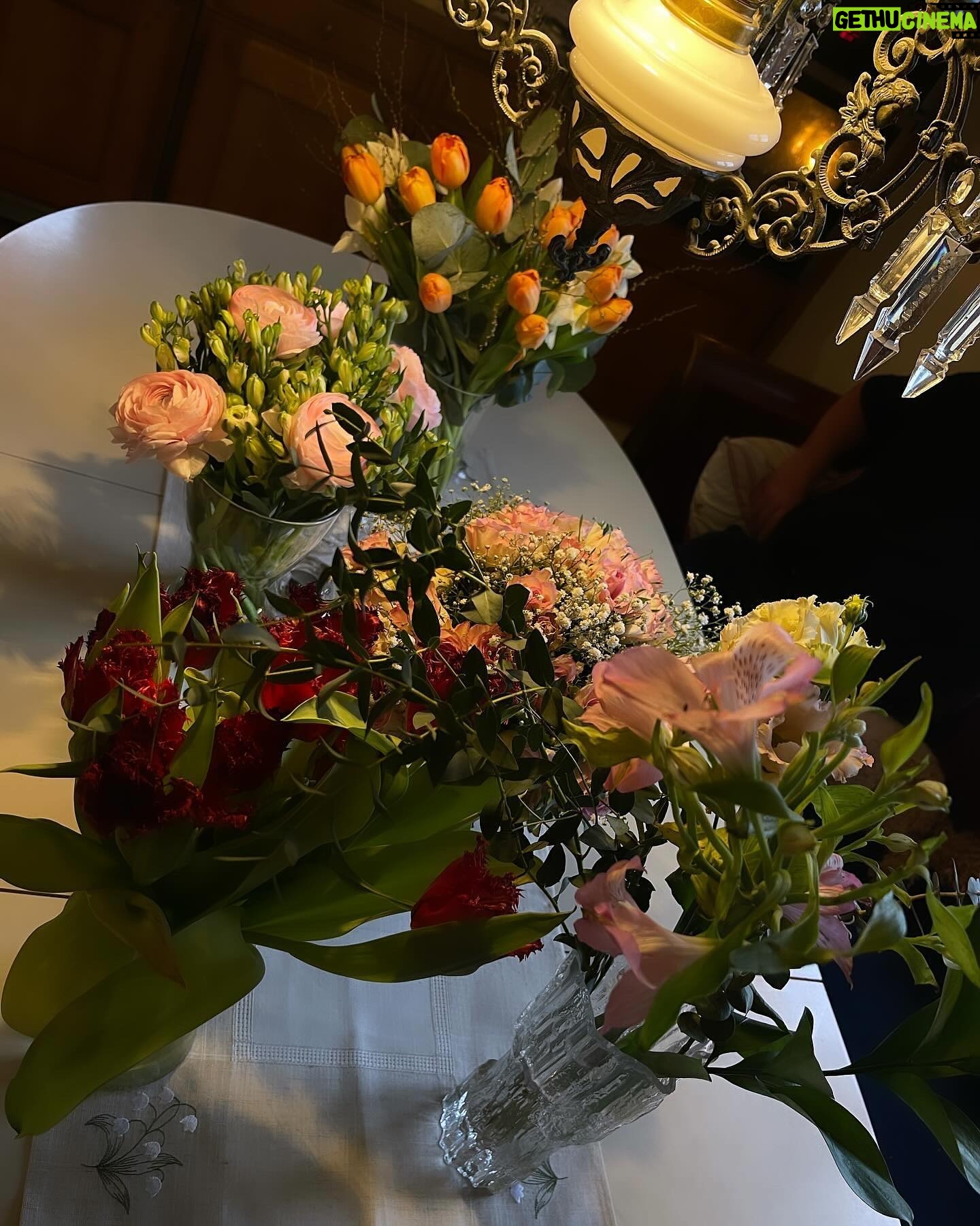 Alicia Agneson Instagram - Just a huge Thank you for the last couple of days & everyone who came to celebrate. So thankful for the humans in my life 🪴
