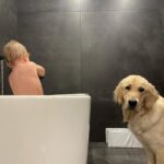 Alicia Moffet Instagram – Ma best a 4 ans aujourd’hui 🥺🎂🎈🎁
Le chien chien le plus spécial, thérapeutique et doux qu’ya pas. On en a traversé des choses ma p’tite madame et moi et j’espère l’avoir à mes cotés pour encore pluuuuuusieurs années 🤍