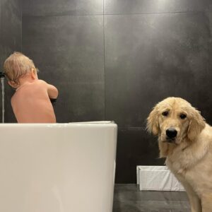 Alicia Moffet Instagram - Ma best a 4 ans aujourd’hui 🥺🎂🎈🎁 Le chien chien le plus spécial, thérapeutique et doux qu’ya pas. On en a traversé des choses ma p’tite madame et moi et j’espère l’avoir à mes cotés pour encore pluuuuuusieurs années 🤍