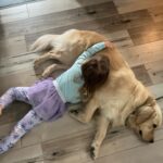 Alicia Moffet Instagram – Ma best a 4 ans aujourd’hui 🥺🎂🎈🎁
Le chien chien le plus spécial, thérapeutique et doux qu’ya pas. On en a traversé des choses ma p’tite madame et moi et j’espère l’avoir à mes cotés pour encore pluuuuuusieurs années 🤍