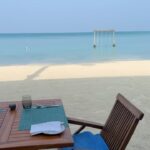 Alicia Moffet Instagram – While in the Maldives 🌊☀️🌪️👙🪂

@fairmont.maldives