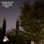Alicia Witt Instagram - how many different types of calls can one bird make? 🤔 🔊 also, what do you think the decibel level is? #birdsong #noisybird #nightsounds #naturesounds #birdcall #namethatbird #insomnia #tennesseebirds #nashvillewildlife