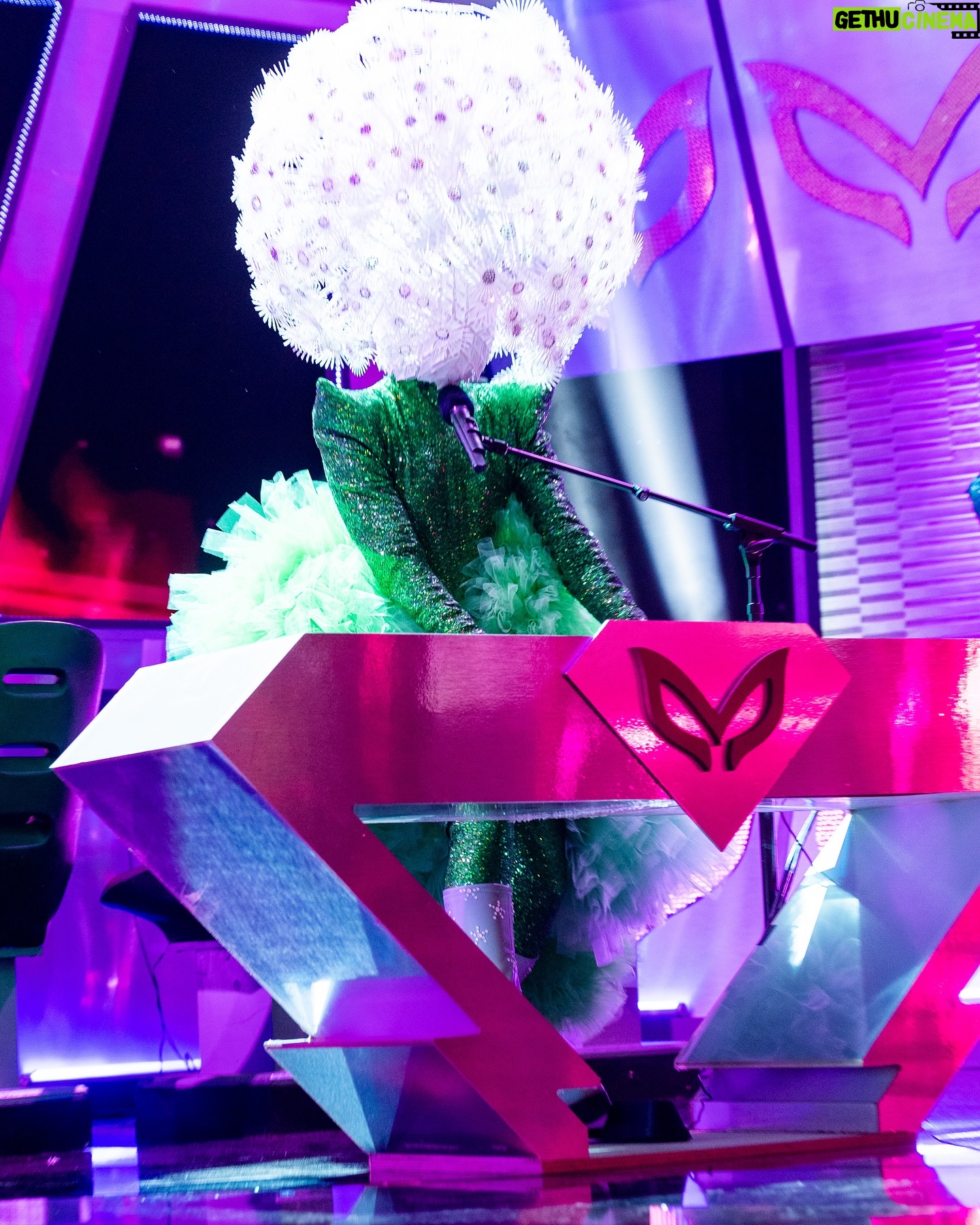 Alicia Witt Instagram - about exactly a year ago on #themaskedsinger, one of the most unexpectedly profound experiences i’ve had 💚 here i am getting the strangest manicure of my life to hide my skin tone, since i would be playing piano in one of my episodes (playing @muse’s Starlight). @maskedsingerfox season finale airs tonight - Dandelion Mask here reminding you to tune in. i can’t wait to find out who wins and who’s behind those famous masks 🙃 8/7c on @foxtv #waybackwednesday #aliciawitt #maskedsingerfinale #dandelionmask