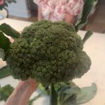 Alicia Witt Instagram – a night of home grown broccoli and friendship and… ernest finding harry … irresistible ✨🐾
@franflinnpatton @theimportanceofbeingernesth