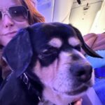 Alicia Witt Instagram - here we come, st louis! join us in person tonight *or* online (and yes it is available internationally; just enter your postal code instead of zip code in the address field). 💙 🍓 @blue_strawberry_stl tickets still available - link in my bio or in my stories. #aliciawitt @theimportanceofbeingernesth