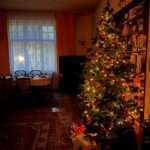 Alicja Bachleda-Curuś Instagram - Przed Wigilią. Wesołych Świat Bożego Narodzenia✨🎄Dla tych, którzy maja szczęście spędzić te Święta z najbliższymi oraz tych, dla których ten czas jest wyjątkowo trudny 🙏🏻 Dużo miłości! ⭐️❤️