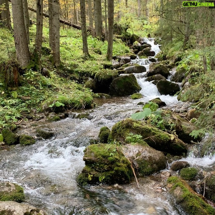 Alicja Bachleda-Curuś Instagram - Fall in the mountains, most beautiful place and season.. #jesień #Zakopane #tatry 🍁🍂🍃
