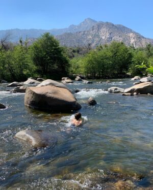 Alicja Bachleda-Curuś Instagram - Mountain river splash, does it get any better?! Even Luna liked it, and she isn’t a natural...💦🌲🏔🐾
