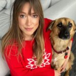 Alicja Bachleda-Curuś Instagram - A my tu sobie z Odi siedzimy i wszystkich pozdrawiamy 🐾 #adopt #doglover #somuchlove #gratitude @ktoz_krakow