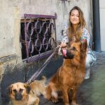 Alicja Bachleda-Curuś Instagram – Przed Państwem Odessa & Stella u boku niezastąpionej Alicji Bachledy-Curuś, która jako wieloletnia patronka i oddana wspierająca schroniska KTOZ wyznacza nowe trendy dla naszych projektów jako @ligapsichmarzen. Niezmiernie miło jest nam poinformować nie tylko o wspaniałej sesji, ale również Adopcji Odessy przez Alicję. To nie pierwszy psiak adoptowany przez Alę. Odessa dołączyła do Luny, która lata temu została otoczona miłością i prawdziwym domem przez naszą patronkę. Nie czekajcie, kontaktujcie się z nami w sprawie adopcji Stelli, która nadal czeka na swój nowy wspaniały świat. Już wkrótce na naszym profilu (również facebookowym) pojawi się wyjątkowy wywiad o miłości do zwierząt i przemyślanej adopcji z Alicją Bachledą-Curuś! „Przez zdjęcia do psiego szczęścia”
Foto📸 @ciociaewaa  Wyprawka do nowego domu od @kissthedog.pl 

#niekupujadoptuj#adoptdontshop #dog#doggo#puppy @ktoz_schronisko