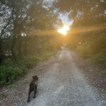 Alicja Bachleda-Curuś Instagram - Provence 💜