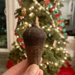 Alie Ward Instagram - Six months of remembering my dad, and about a week of forgetting to take the tree down