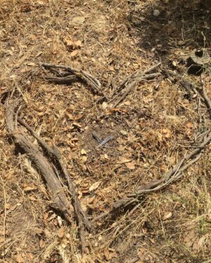 Alie Ward Instagram - Normalize leaving signals in a secret spot in the woods for each other even when you’re broken up and then get engaged there