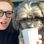 Alie Ward Instagram – Our small muffin baby trying her 1st pup cup -> immediately after