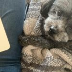 Alie Ward Instagram – touched by a angel