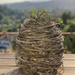 Alie Ward Instagram - When I was volunteering at @nhmla, I made #WillowhutWednesday posts and though @lalovejoyart’s woven house is no longer there, they saved me a twig from it which is on my office wall. When an oak recently fell in our yard, I tried to make my own little lampshade out of the green branches as an annex to the place I love. Also here’s a photodump from our stunning garden since @wildyardsproject’s David Newsom has been a fairy godfather turning a dry hillside of invasive weeds into a native pollinator paradise. Stay tuned for an @ologies episode on native bees with THE Krystle Hickman, aka @beesip, who I am just blown away by. She’s amazingly talented and knowledgable and I’m just giddy to know her. Check out her work @beesip, which is much better than my phone photos! (Although I stole one of David’s shots of a sleeping bee for this post! THANKS DUDE.)