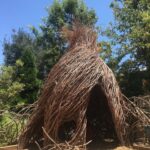 Alie Ward Instagram - When I was volunteering at @nhmla, I made #WillowhutWednesday posts and though @lalovejoyart’s woven house is no longer there, they saved me a twig from it which is on my office wall. When an oak recently fell in our yard, I tried to make my own little lampshade out of the green branches as an annex to the place I love. Also here’s a photodump from our stunning garden since @wildyardsproject’s David Newsom has been a fairy godfather turning a dry hillside of invasive weeds into a native pollinator paradise. Stay tuned for an @ologies episode on native bees with THE Krystle Hickman, aka @beesip, who I am just blown away by. She’s amazingly talented and knowledgable and I’m just giddy to know her. Check out her work @beesip, which is much better than my phone photos! (Although I stole one of David’s shots of a sleeping bee for this post! THANKS DUDE.)