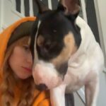 Alina Kovalenko Instagram – Something from the timeline