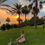 Alina Kovalenko Instagram - Just a little memory of a friendship 🐱