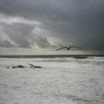 Alina Pyazok Instagram - a little melancholy. 35 mm, Porto, 2023.
