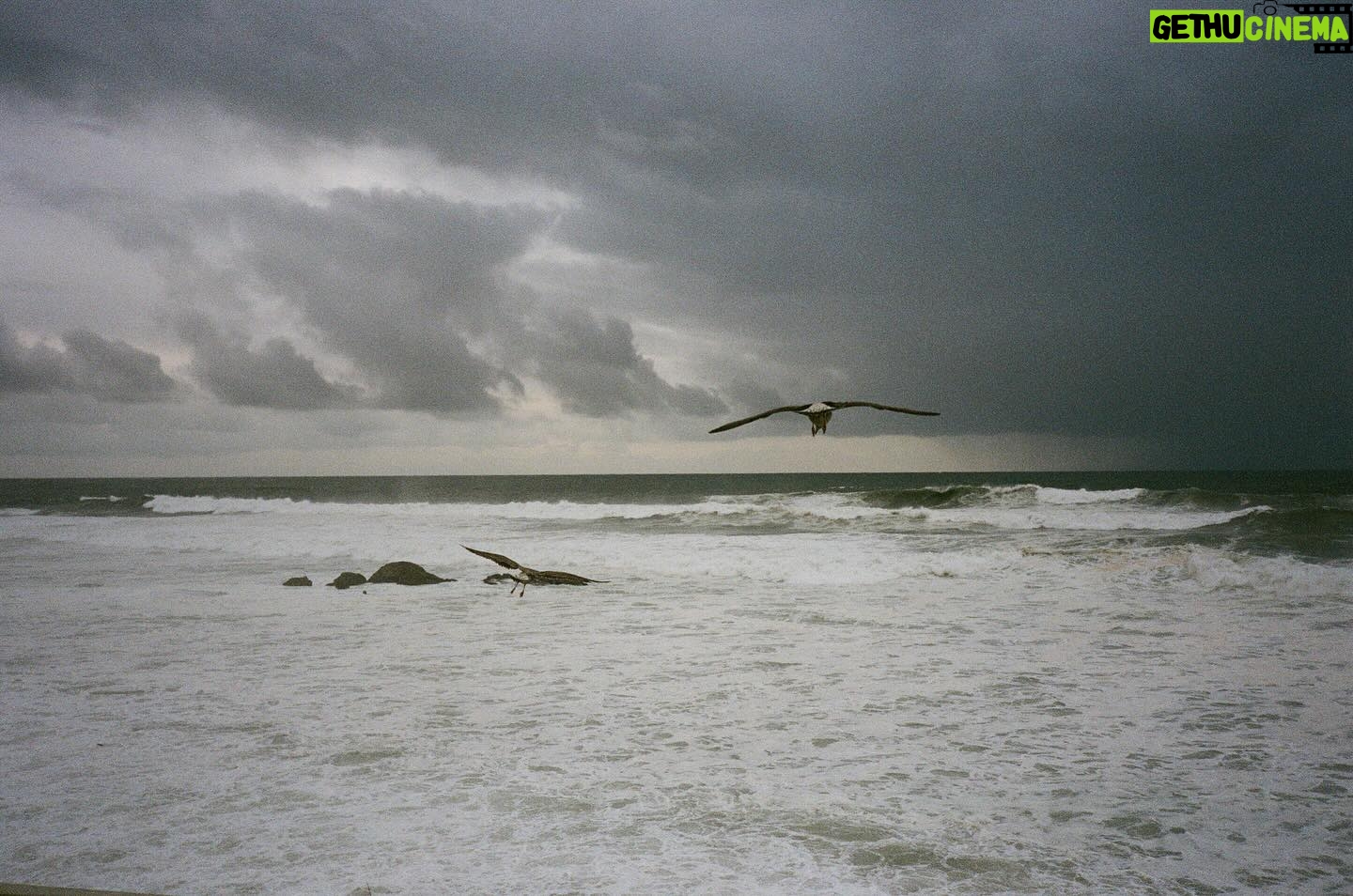 Alina Pyazok Instagram - a little melancholy. 35 mm, Porto, 2023.