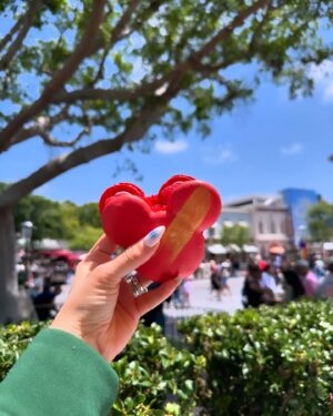 Alisan Porter Instagram - Miss you already @disneyland #dump