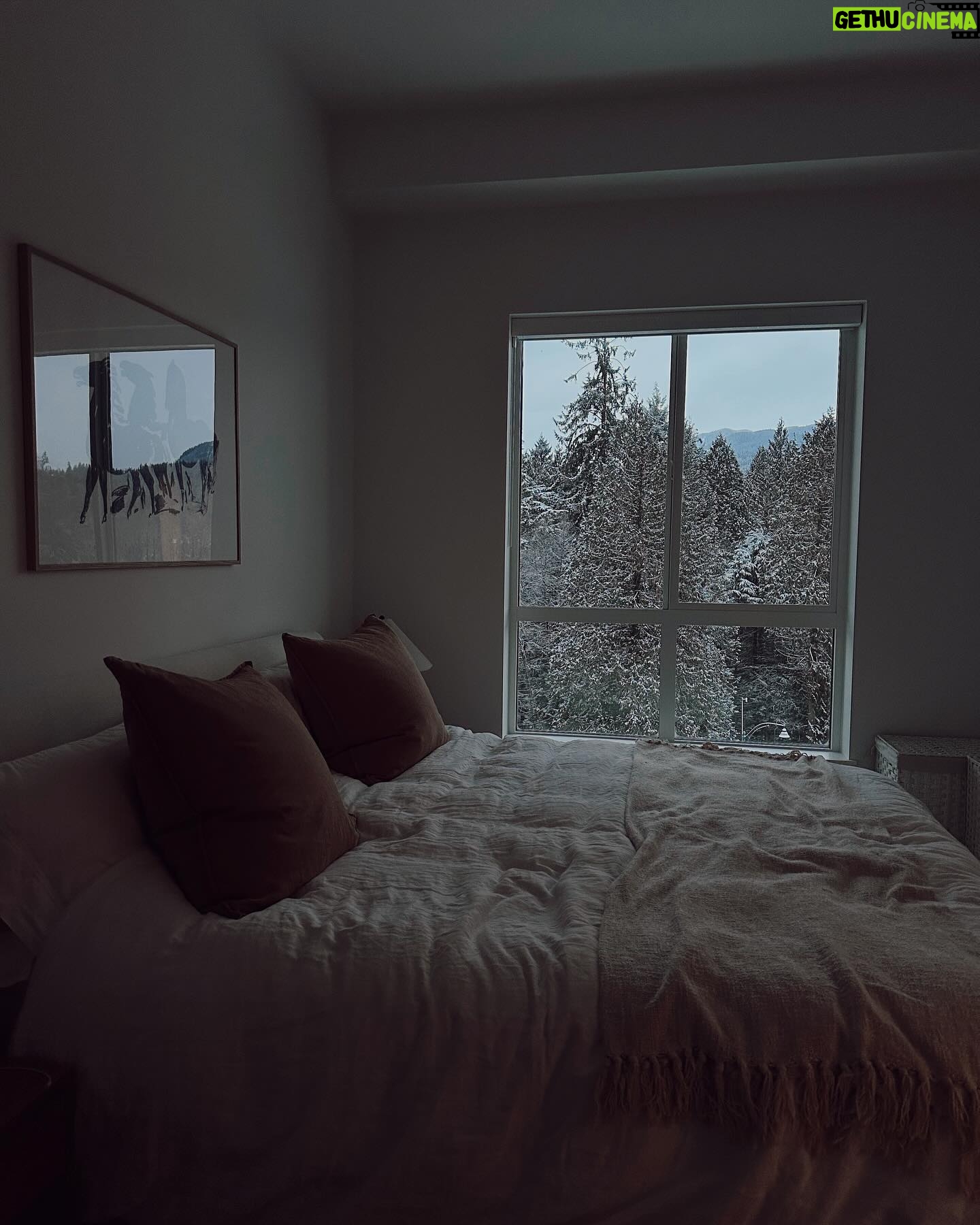 Alisha Newton Instagram - feeling more and more like home 😌🪴