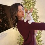 Alisha Newton Instagram - merry christmas ily ✨
