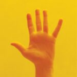 Alison Sudol Instagram - "Still Come The Night" / / / my upcoming album, out 30th September / / / pre-order/pre-save at the link in bio x produced by @chrishyson handmade with @alexhainesmusic @lloydhaines @superstaralex90 in the welsh hills mastered by @sterlingsound art by @federiconessi @turkishdelighhhht album design @roelnabuurs makeup @anitakeeling hair @mr.hiroshi.matsushita wearing @bora_aksu label @kartelmusicgroup management life support @estuary_artists special thanks to @jessicasweidan @synchearth @flourishingdiversity for the land and heart that you lent in the hardest time. so much love x