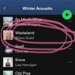 Alison Sudol Instagram – up with a jet lagged toddler in the midst of a wailing Californian storm (note the time, that’s a.m. and we’ve already been up a whiiiile 🫠) and taking a moment while she is preoccupied with trying to drag a yoga mat out of tight corner to listen to these stormy weather songs. It’s incredible what being included on a playlist can do for an indie artist, so thank you @spotify for having wasteland on your winter acoustic playlist #newmusic #indiemusic #winteracoustic #spotify #spotifyplaylist #singersongwriter #femalesingersongwriter #femalesinger