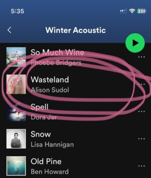 Alison Sudol Instagram - up with a jet lagged toddler in the midst of a wailing Californian storm (note the time, that’s a.m. and we’ve already been up a whiiiile 🫠) and taking a moment while she is preoccupied with trying to drag a yoga mat out of tight corner to listen to these stormy weather songs. It’s incredible what being included on a playlist can do for an indie artist, so thank you @spotify for having wasteland on your winter acoustic playlist #newmusic #indiemusic #winteracoustic #spotify #spotifyplaylist #singersongwriter #femalesingersongwriter #femalesinger